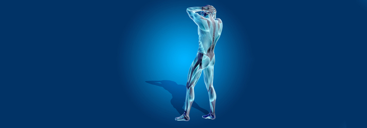 Chiropractic Vacaville CA Autonomic Neuropathy